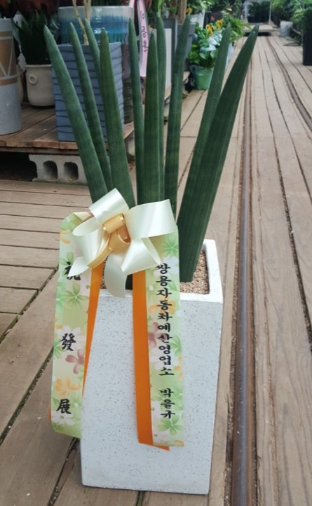 쌍용자동차 예산영업소 이미지