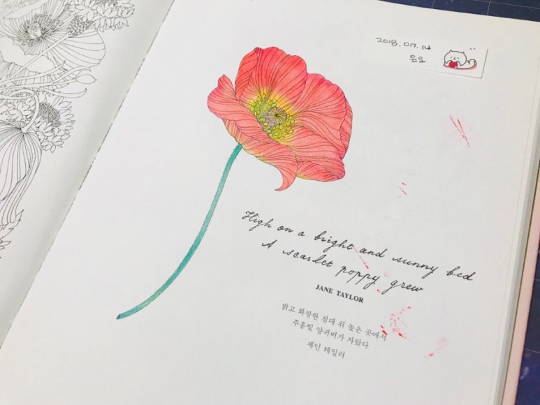 열두달꽃이랑 이미지