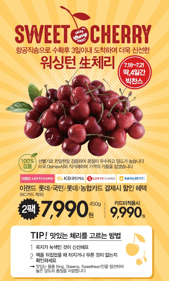 2001분당 이미지