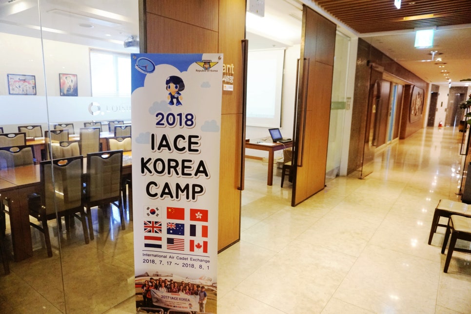 IACE 이미지