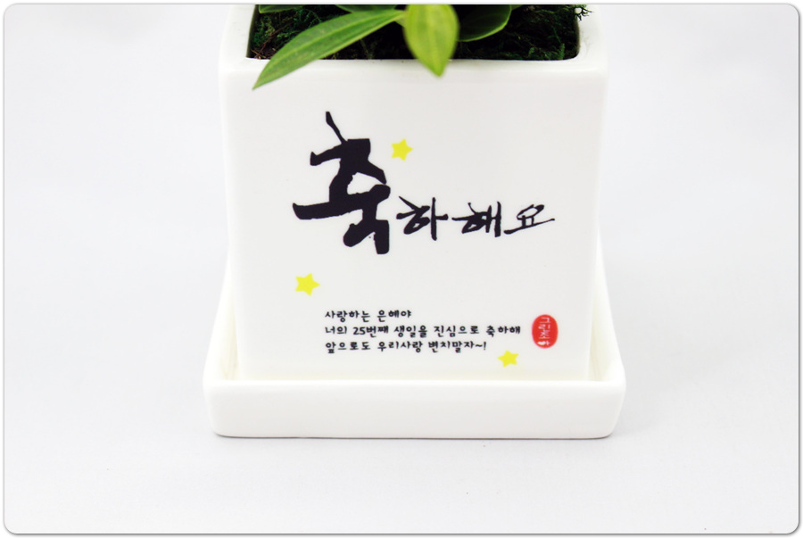 조아그린 이미지