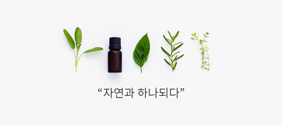 자연담은 이미지