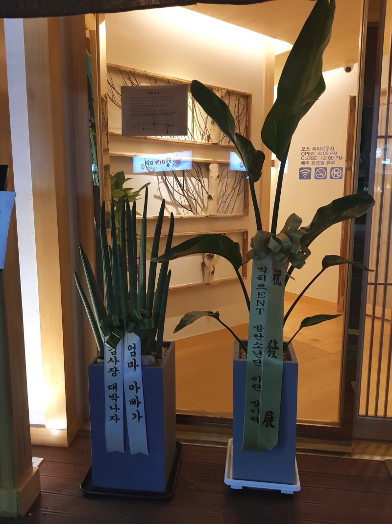 오쓰세이로무시 이미지
