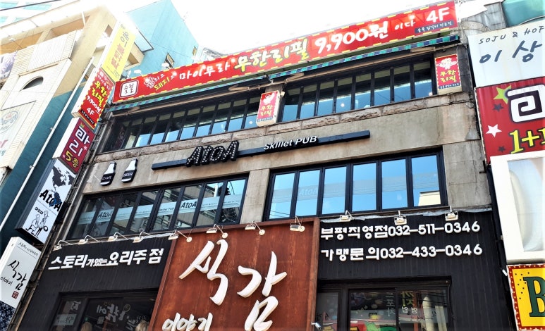 돼지고(GO) 이미지