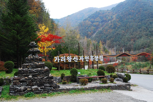 가리왕산자연휴양림 이미지