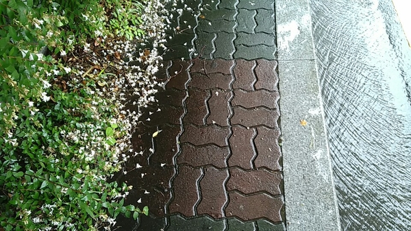 태창양복점 이미지