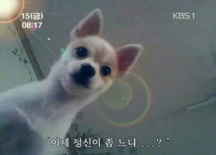 미쓰장 이미지