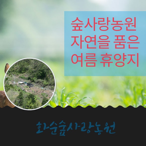 숲사랑농원 이미지