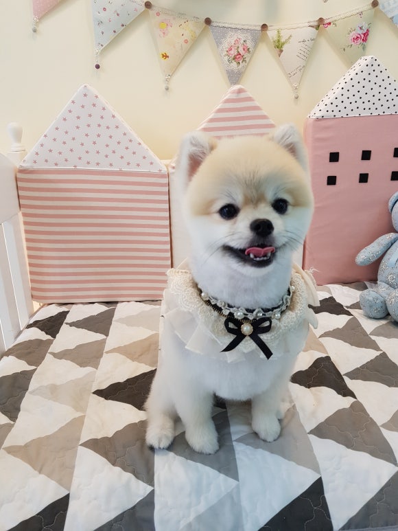 문정미용타운 이미지