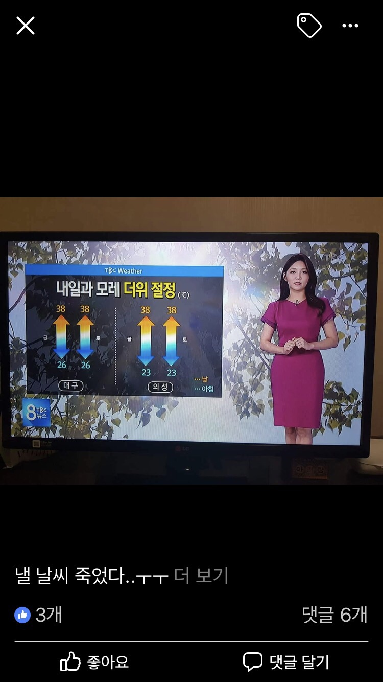 로뎀사무기 이미지