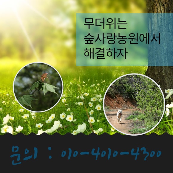숲사랑농원 이미지