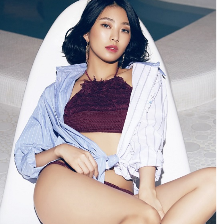 보라자판기 이미지