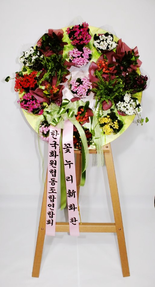 애드협동조합 이미지