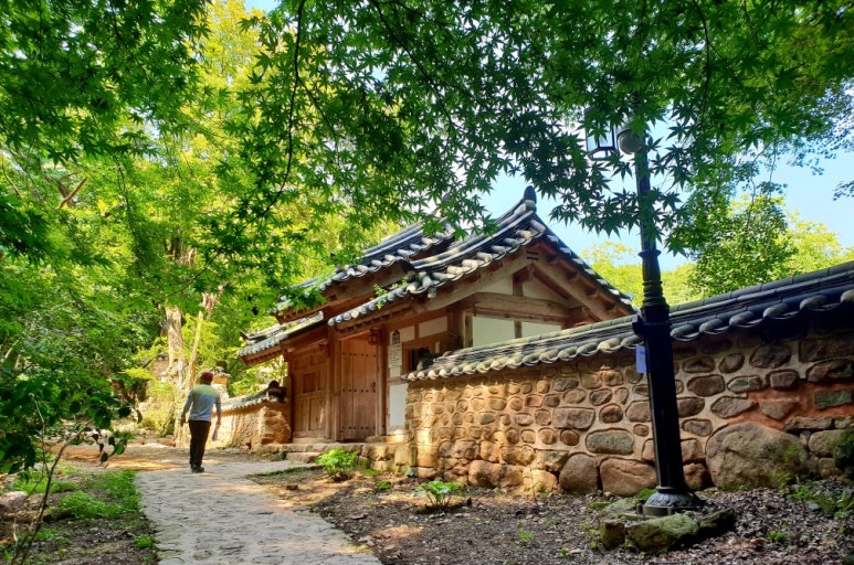 라보장 이미지