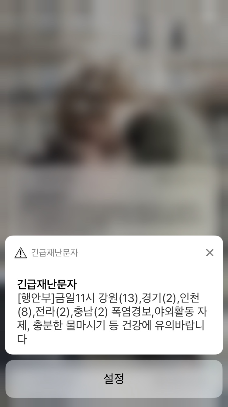 경보반점 이미지