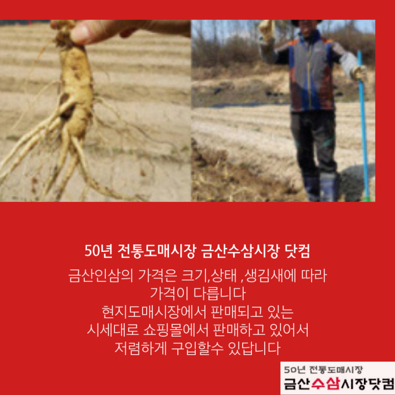 금산수삼시장닷컴 이미지