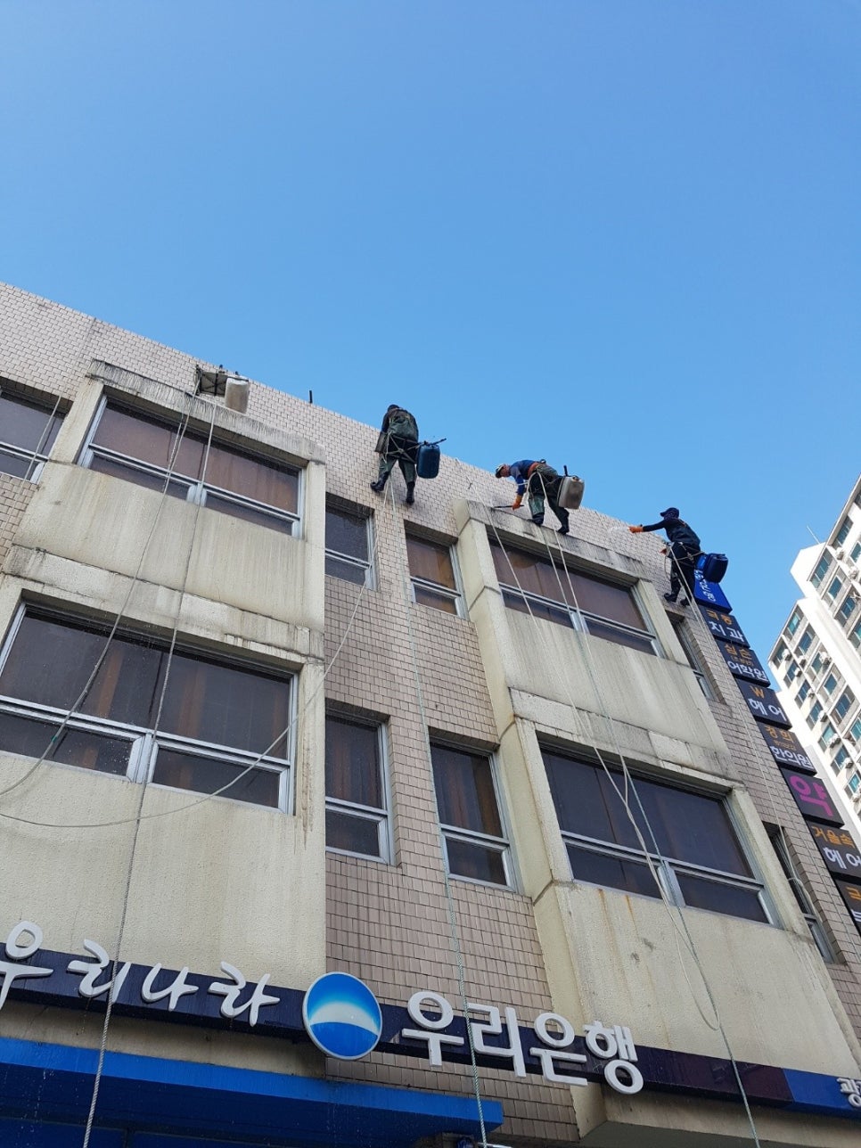 금메달청소나라 이미지