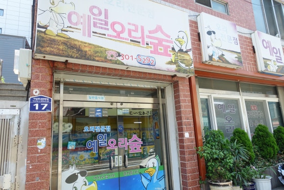 예일오리숲 이미지