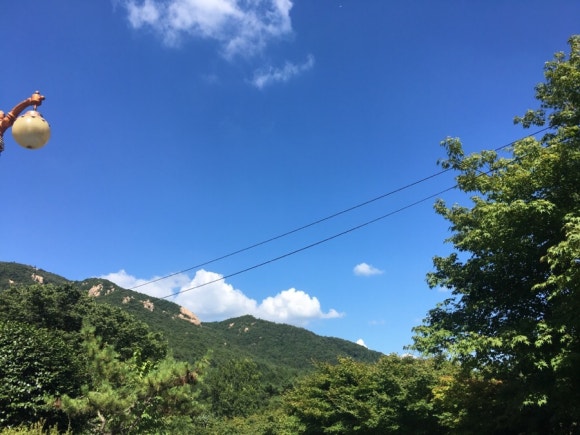 시네마플러스(주) 이미지
