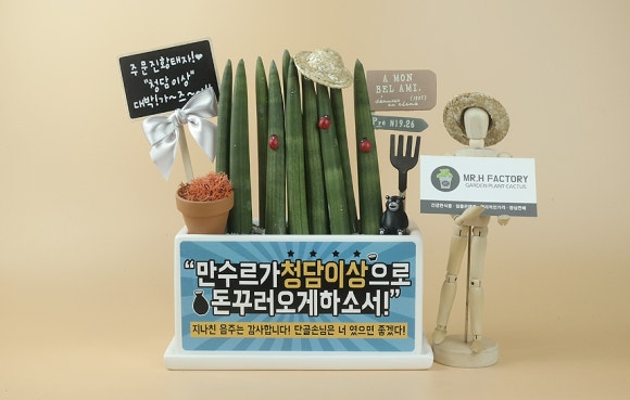 이자카야화분 이미지