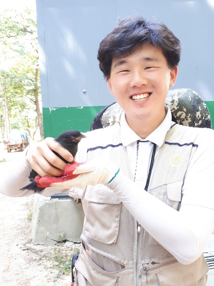 파랑새조경 이미지