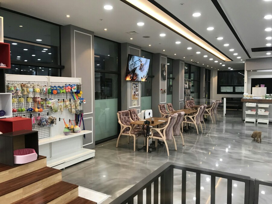 굿:카페원주 이미지