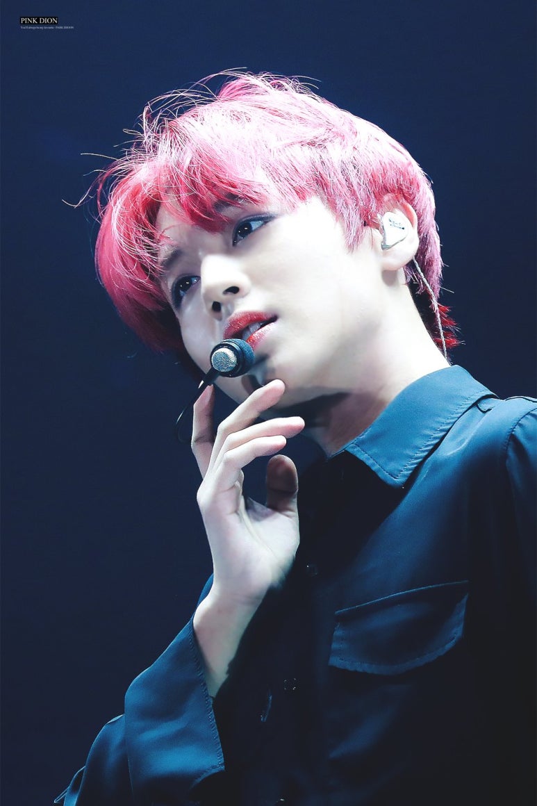체리투어 이미지