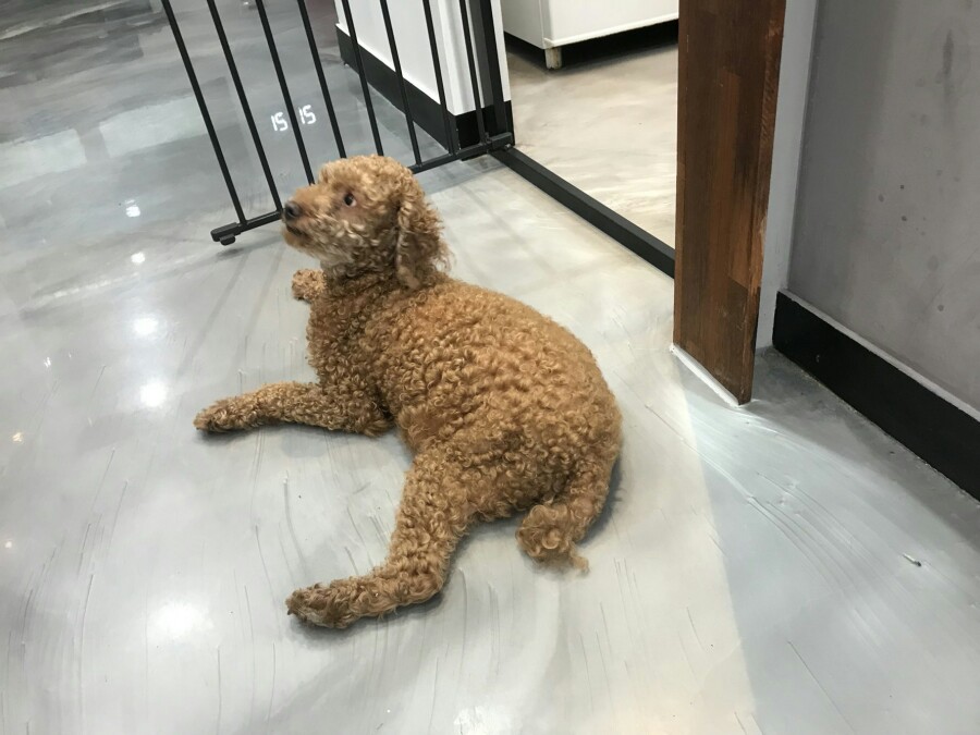 굿:카페원주 이미지