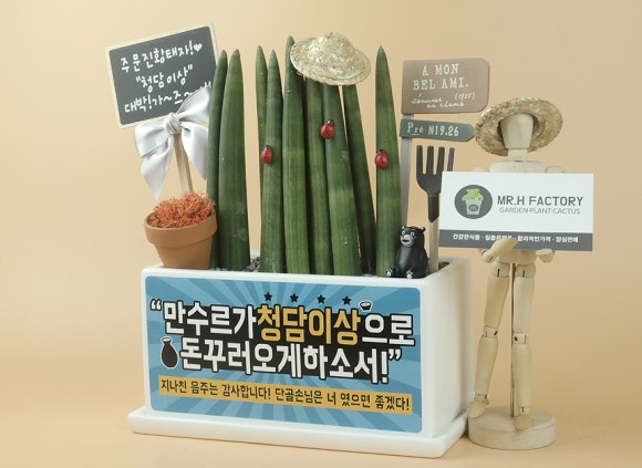 이자카야화분 이미지