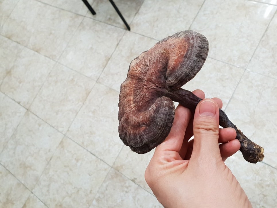 백두산야초 이미지