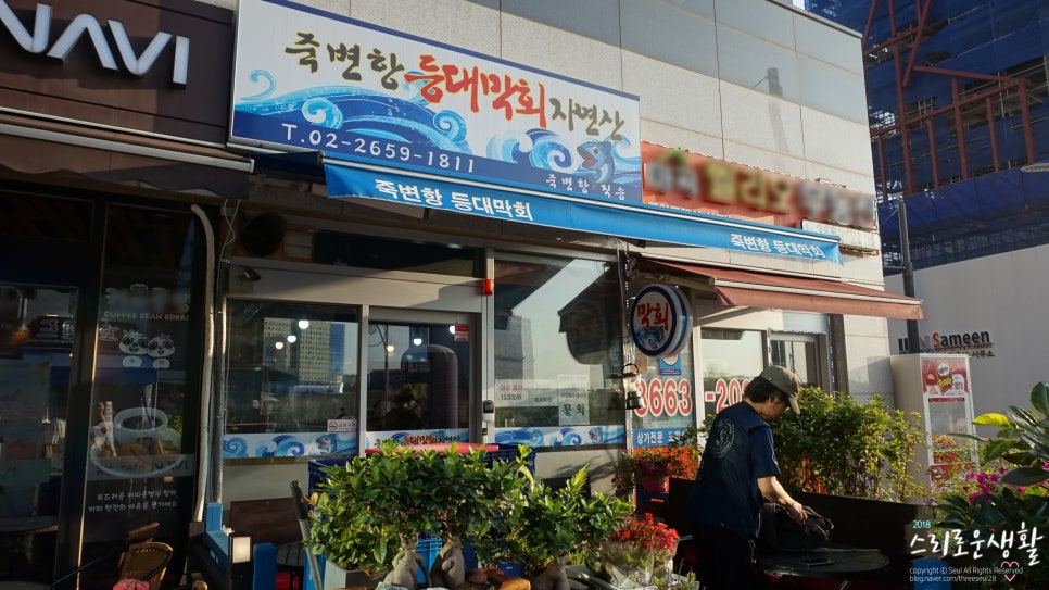 죽변항등대막회 이미지