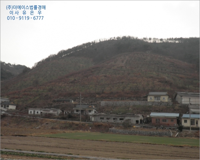 더과수원 이미지