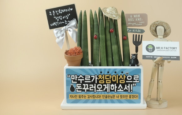 이자카야화분 이미지