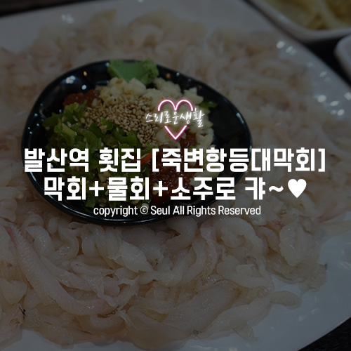 죽변항등대막회 이미지