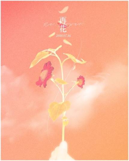 서정플라워 이미지
