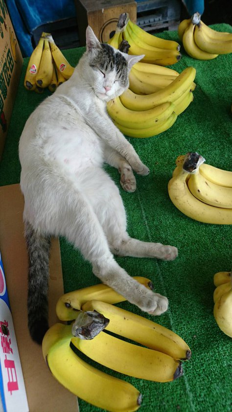 정원한의원 이미지