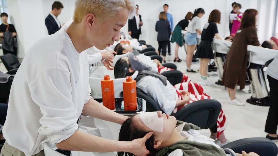 보떼아르 이미지
