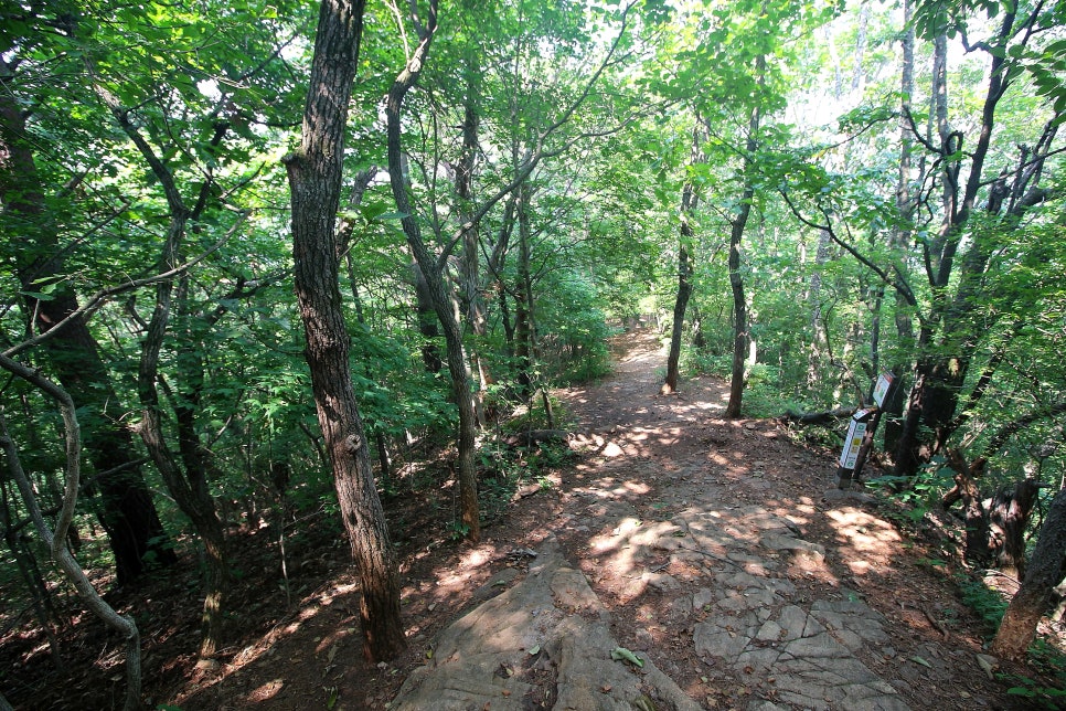 충주호 조망 이미지