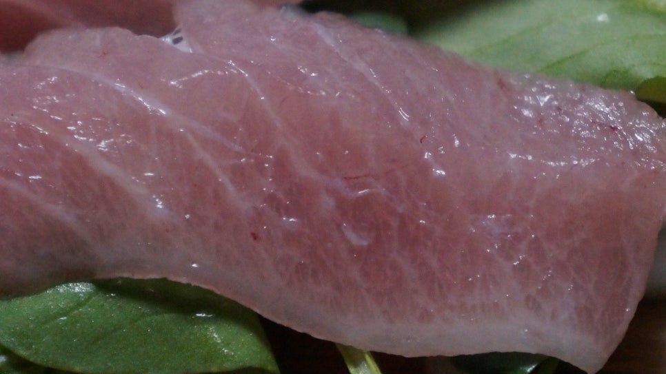 참치21 이미지