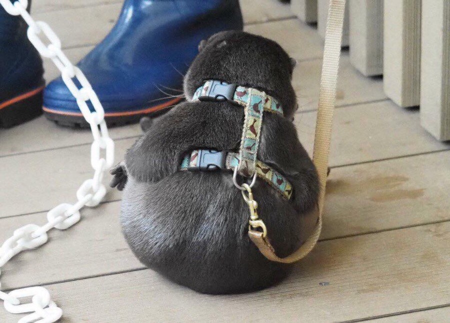 오십오 이미지