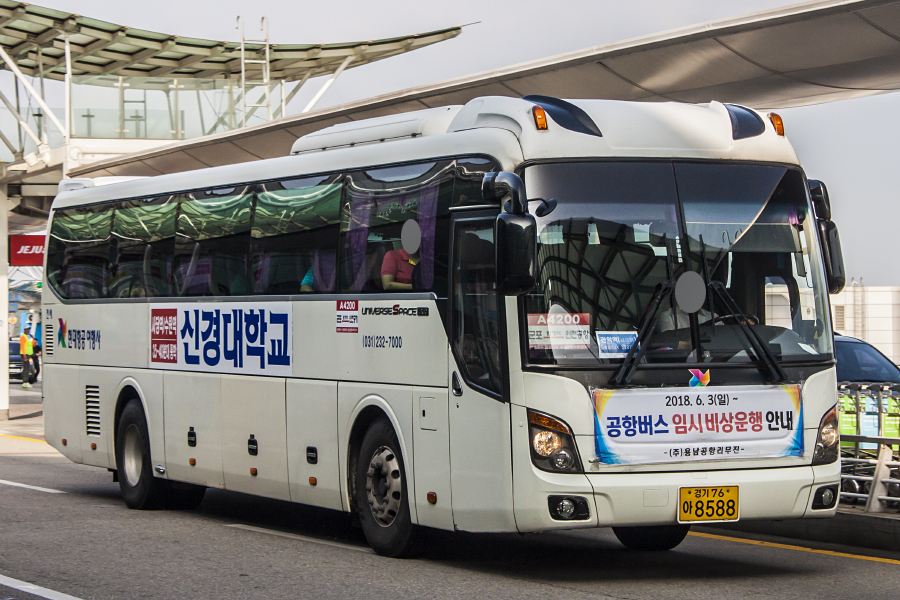 대원항공여행사 이미지