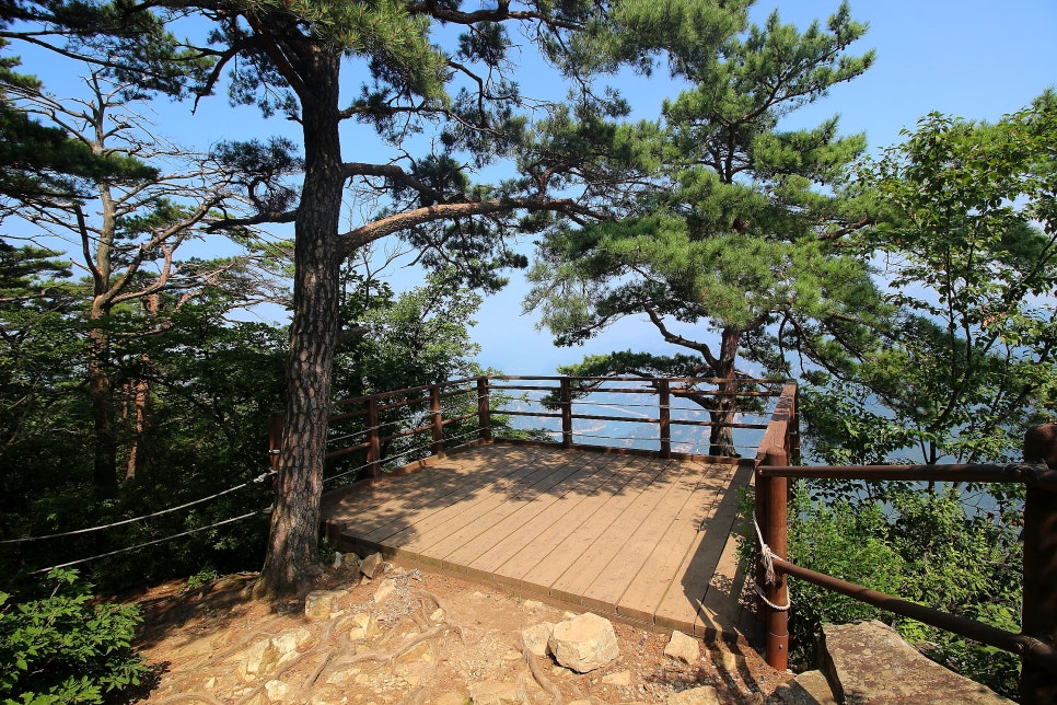 충주호 조망 이미지