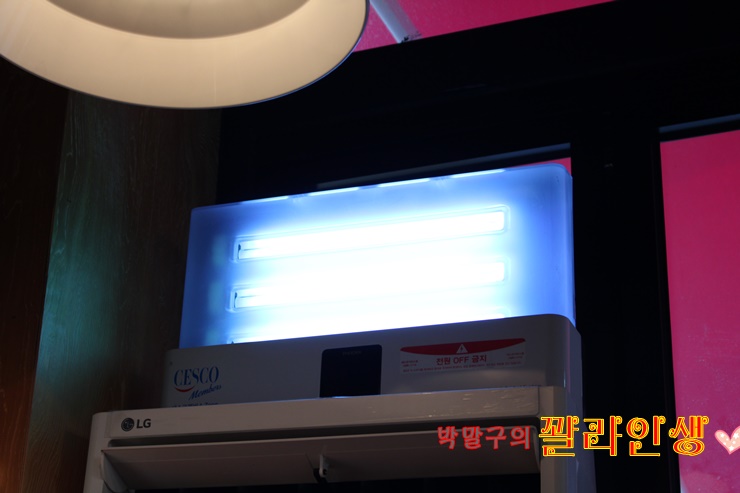 더모모야 이미지