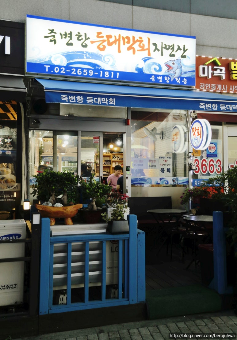 죽변항등대막회 이미지