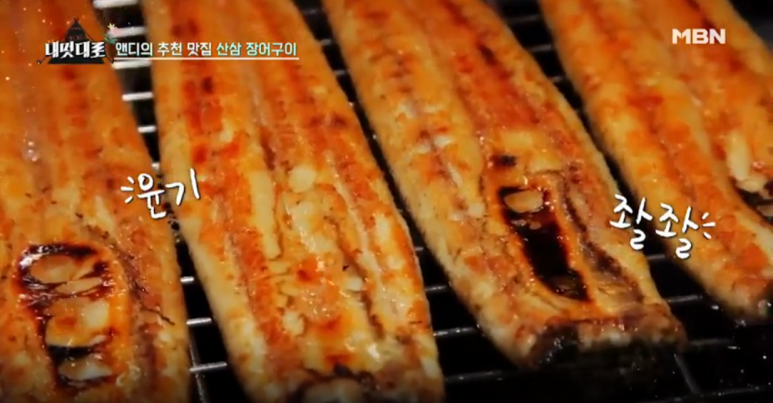 신화장어 이미지