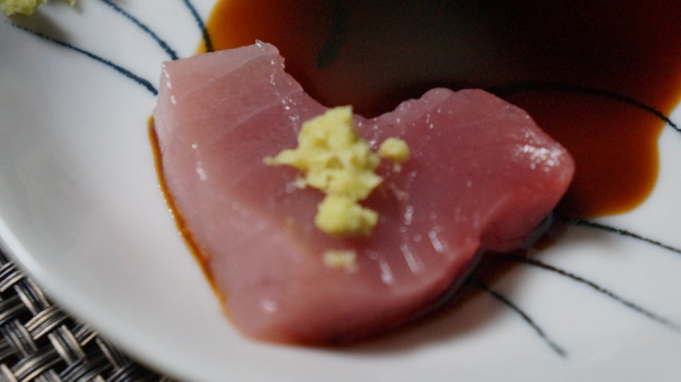 참치21 이미지
