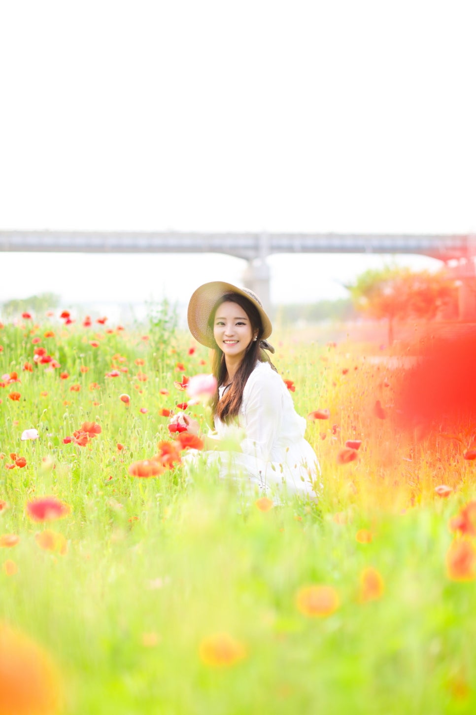 스튜디오 양귀비 이미지
