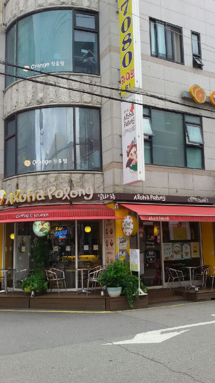 알로하포롱 이미지