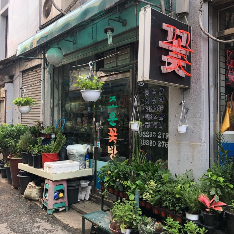 조은꽃방 이미지