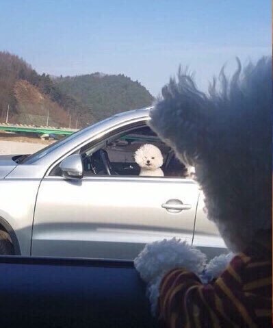디짐 이미지